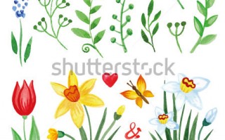 flowercolor什么颜色好看，flower是什么颜色