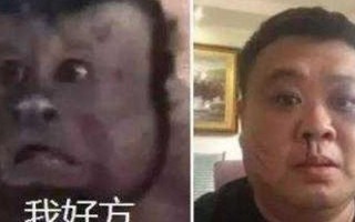 国字脸搭配什么眼睛，国字脸搭配什么眼睛好看